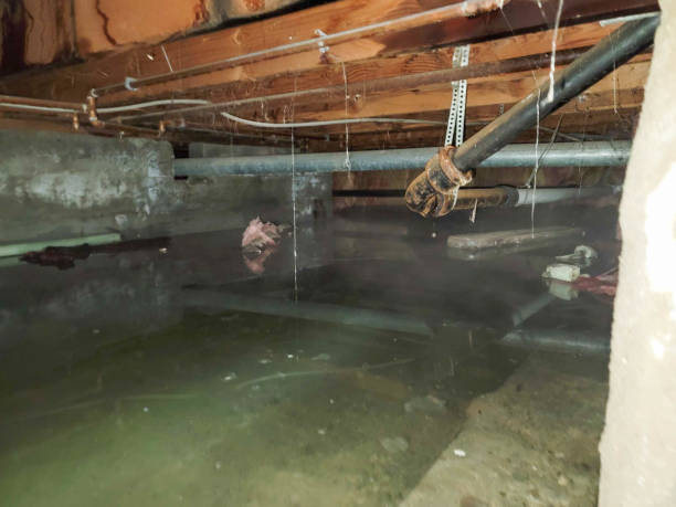 Best Flooded house restoration  in Delta, CO