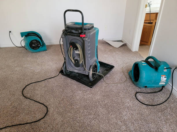 Best Water damage cleanup near me  in Delta, CO