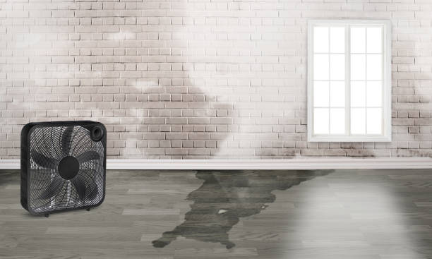 Water damage restoration mold remediation in Delta, CO