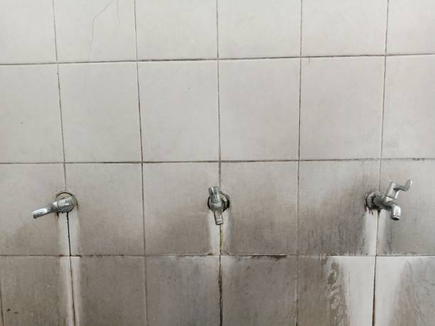Best Carpet water damage restoration  in Delta, CO