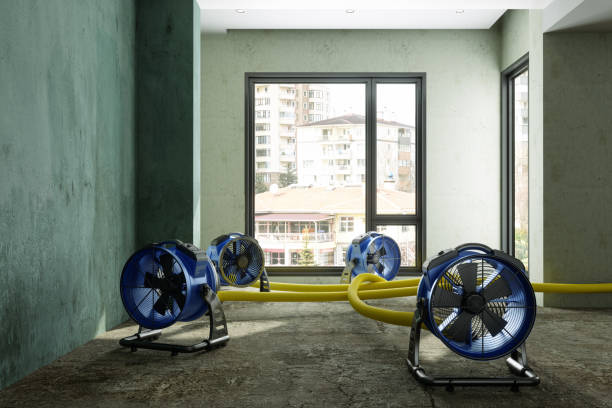 Fire Damage Restoration in Delta, CO