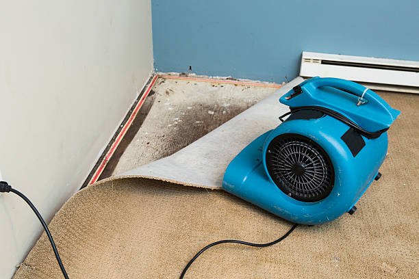 Best Water damage restoration near me  in Delta, CO